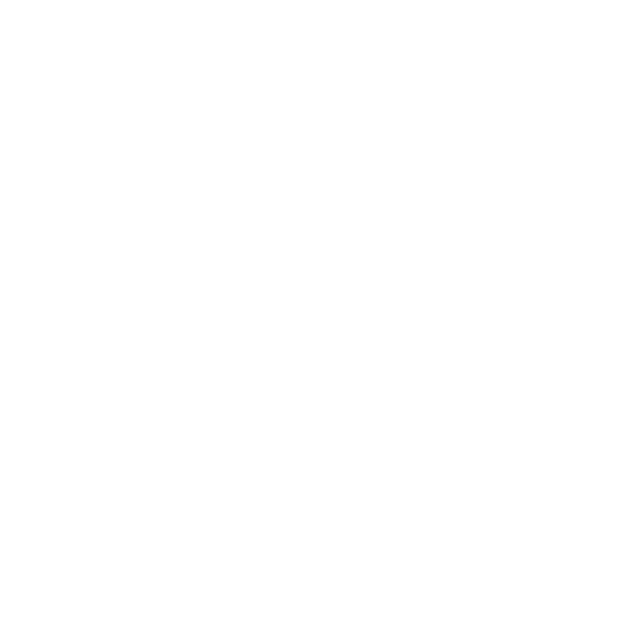 Bison Janitorial Services